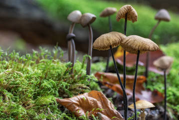 kleine Gruppen