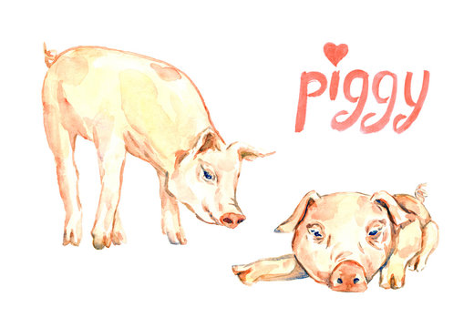 Small piggies set, standing and lying, hand painted watercolor illustration design with inscription, element for invitation, card, print, posters