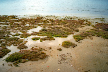 stone seashore, late summer, the northern Mediterranean