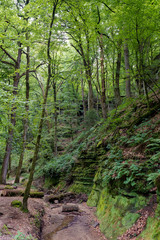 Fototapeta premium wild green European forest and sandstone canyons