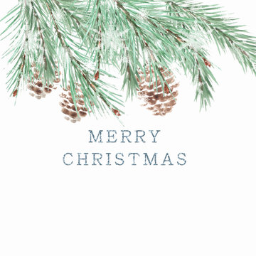 Christmas watercolor tree branches with cones on white background with snowflakes.
