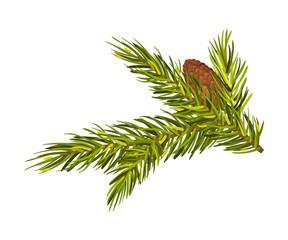 Green Spruce Twig With Cone Set Up Vector Illustration Isolated On White Background