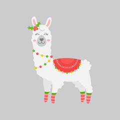 Christmas llama vector illustration. Cute festive, seasonal, holiday xmas alpaca animal with holly, mistletoe on head and socks on feet. Isolated cartoon print graphic character.
