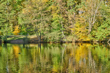 Fototapeta na wymiar Herbstliches Panorama mit heller Sonne, die durch die Bäume scheint und Reflexionen oder Spiegelungen im Wasser in Berlin im Treptower Park