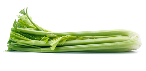 fresh celery isolated on white background