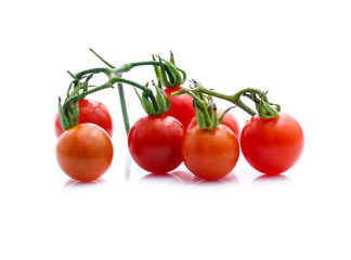 tomatoes isolated on white background