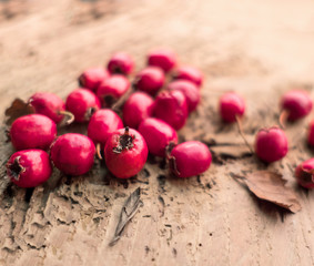 Red hawthorn berries on wooden background