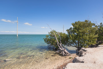 Tropical paradise beach, wide panorama. Ocean line landscape.