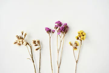 Foto op Plexiglas Dried wild flowers on white table background top view. © luengo_ua