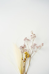Bouquet of dried wild flowers on white table background top view.