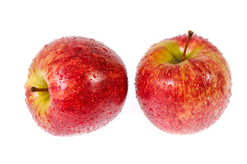 red apple isolated