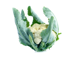 Cauliflower isolated on white background
