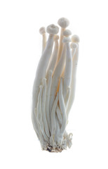 Enoki mushroom, White on background