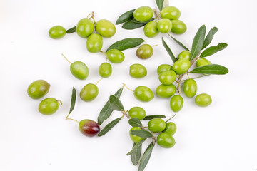 Green olive on the white background