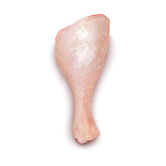 Isolated Chicken Leg on White Background in Realistic Style