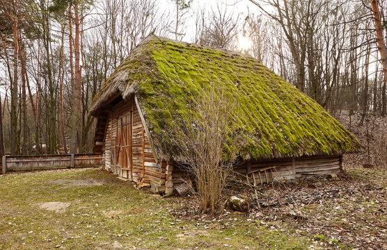 an old barn in the middle of the woods