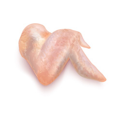Isolated Chicken Wing on White Background in Realistic Style