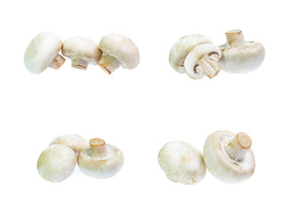Mushroom champignon isolated on white background(set)