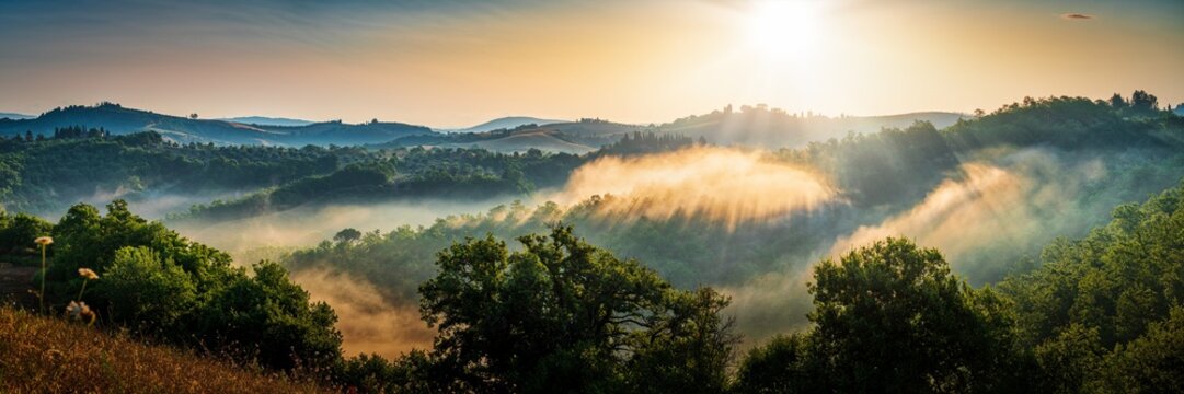 Fog over the hills in Tuscany at sunrise