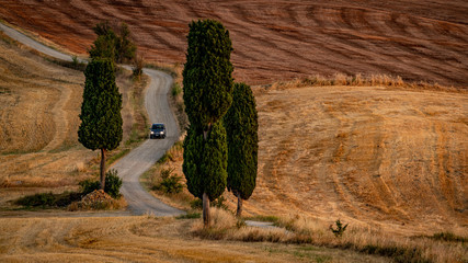 Cypress trees and curved road with a car in Tuscany at sunset