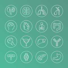 Large set of linear vector icons of human organs.