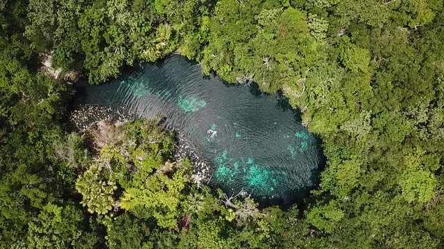 Ascending Aerial of Mexican Cenote, Natural Pool and Wonder in The Middle of Rain Forest Near Tulum Mexico. Top Down Birdeye View