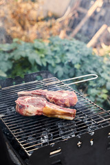 raw meat grilling on barbecue grid and coal pieces outside