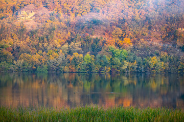Golden autumn trees and lake. Autumn landscape, sunny morning.