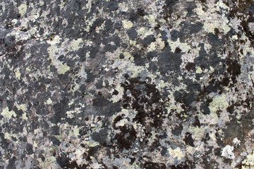texture of stone