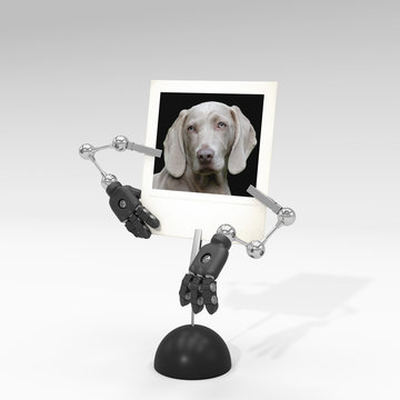 photo of a snobby dog on picture clip holder with toy arms