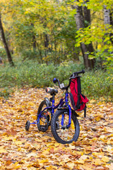 Children bicycle in park