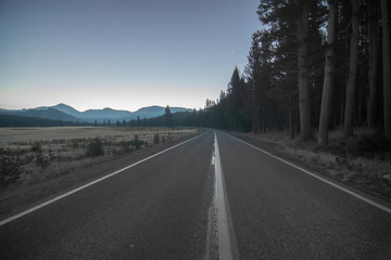 Fototapeta premium Tioga Road Views in Yosemite National Park in California, United States