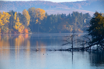Golden autumn trees and lake. Autumn landscape, sunny morning.