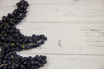 Wine grapes on a white background, Provence