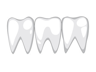 Vector white healthy teeth in a row on a white background