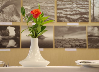 Red rose in white vase on the table