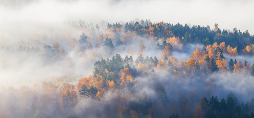 Scenic autumn view. Fog in the forest, view from above. Natural background.