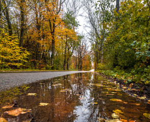 Pit on the road in the autumn forest in rain. Asphalt  road in overcast rainy day. Roadway with...