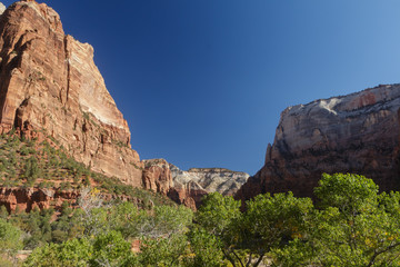Fototapeta na wymiar Blue skies over a mountain valley in Zion National Park
