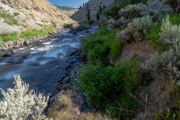 yellowstone river at sunrise near yellowstone park