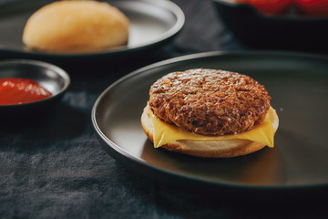 Fresh Tasty burger on dish with with french fries, ketchup