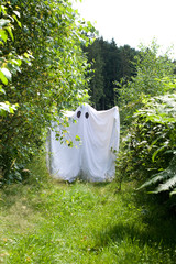a white ghost in forest