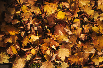 Great morning breakfast with coffee and sweets