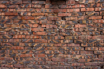 Brick wall of red bricks.