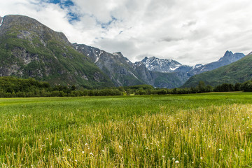 Fototapeta premium Picturesque of landscape of the Norway mountains countryside