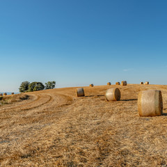 Fototapeta na wymiar Hay Stacks in Hay Field in Tuscany Italy