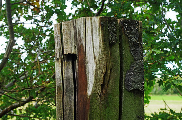 close up of a wooden post
