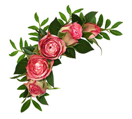Pink rose flowers and green leaves in a wave floral arrangement