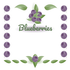 Blueberries and leaves, natural colors. Vector drawing with text for label, farm signboard design, logo. Isolated objects on  white background.