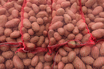 Top view of sacks of potatoes.